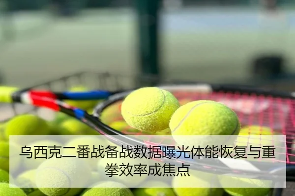乌西克二番战备战数据曝光体能恢复与重拳效率成焦点